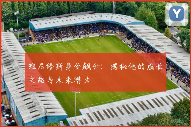 维尼修斯身价飙升：揭秘他的成长之路与未来潜力