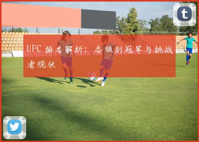 UFC 排名解析：各级别冠军与挑战者现状