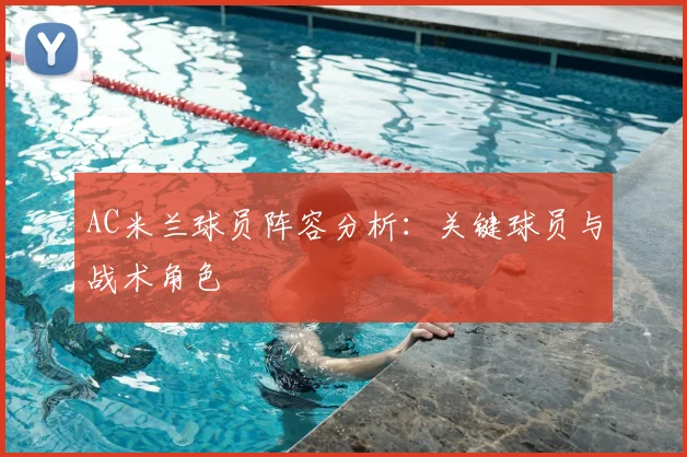 AC米兰球员阵容分析:关键球员与战术角色
