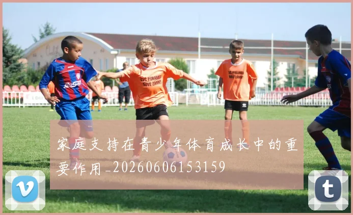 家庭支持在青少年体育成长中的重要作用_20260606153159