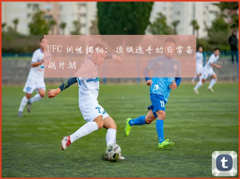 UFC 训练揭秘:顶级选手的日常备战计划